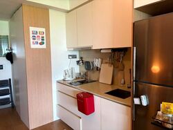 Riversails (D19), Condominium #599286721